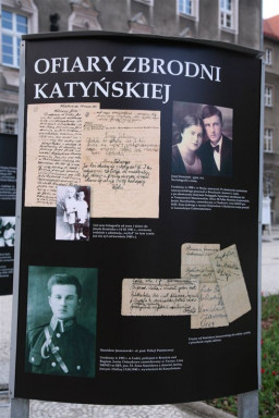   /fot.: E. Cybulski / 